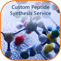 custompeptidesynthesisservice